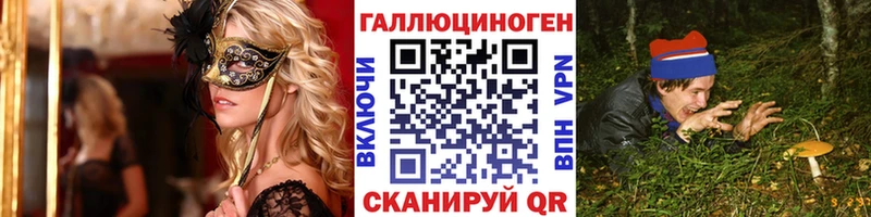 Псилоцибиновые грибы Psilocybe  Купить где  Ханты-Мансийск 